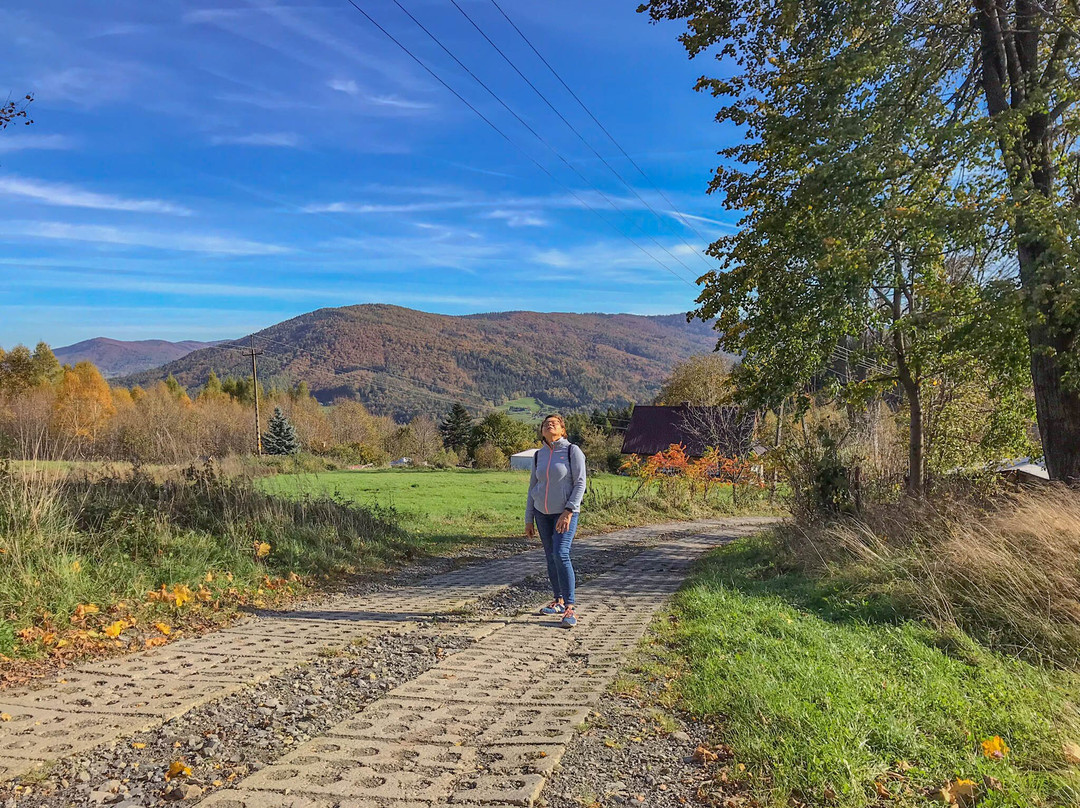 Punkt Widokowy Przełęcz Targanicka
