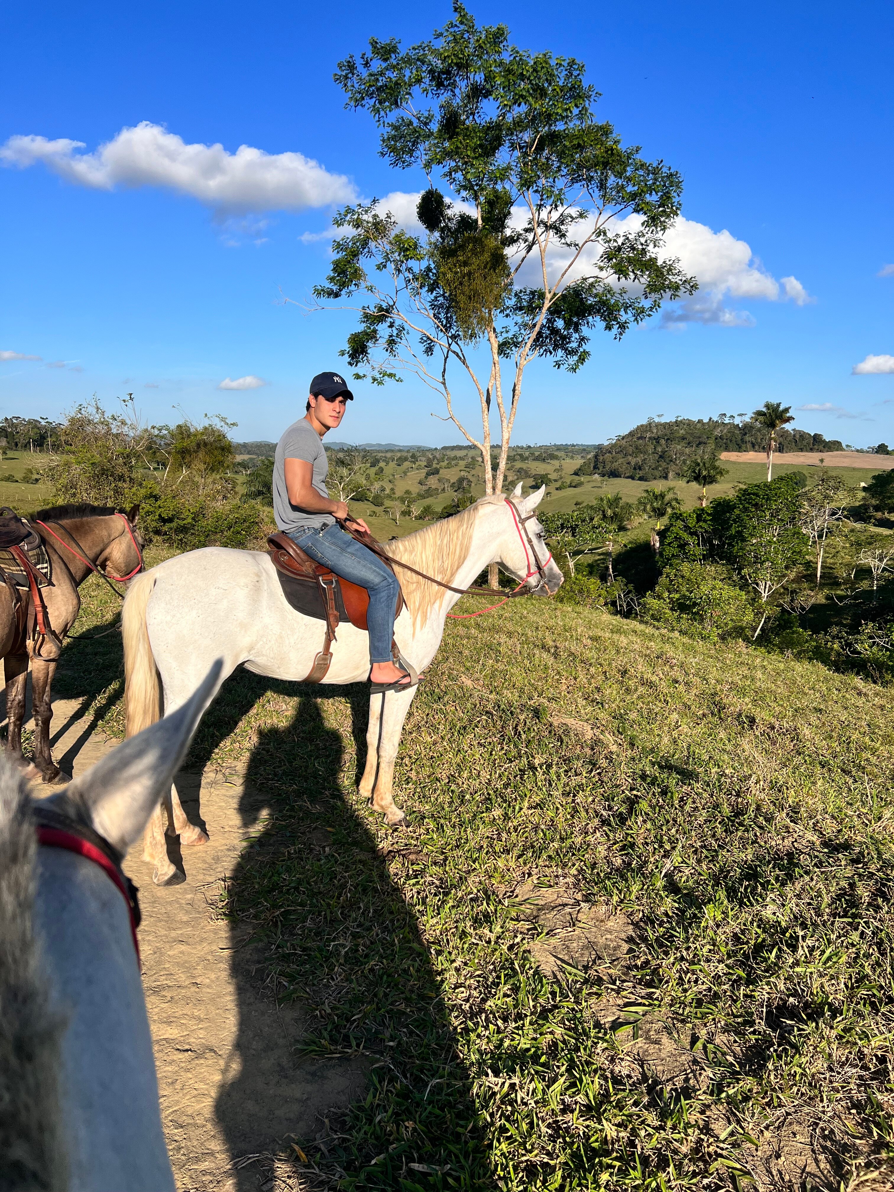 Hotel Fazenda Colibrí-官方