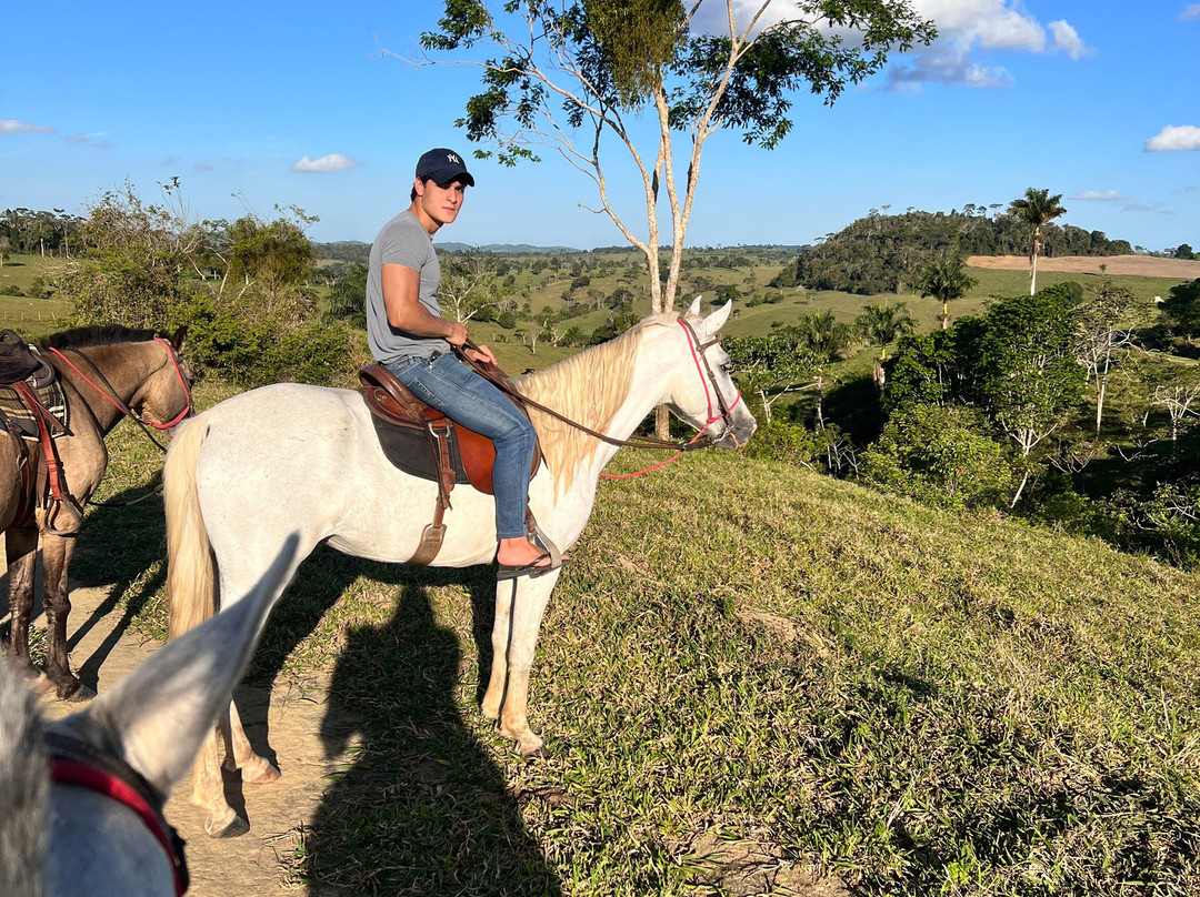 Hotel Fazenda Colibrí主图