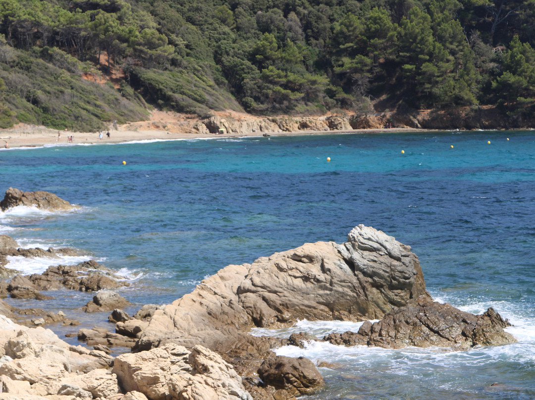 Plage Du Brouis