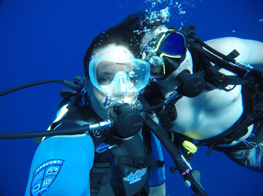 深层生态学-哈雷瓦必去景点