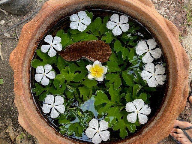 Orion Healing Centre主图