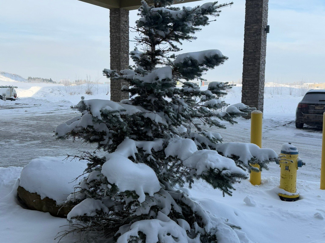 Hampton Inn & Suites by Hilton Edmonton St. Albert主图