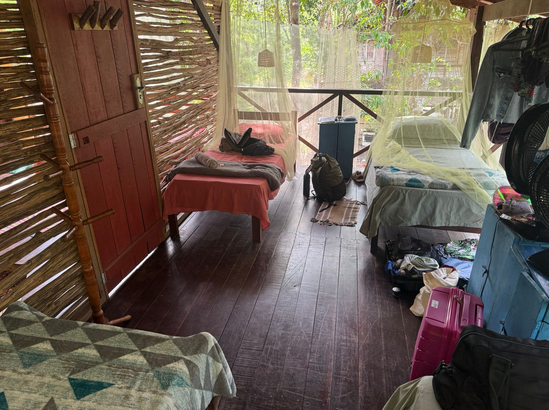 AMZ House