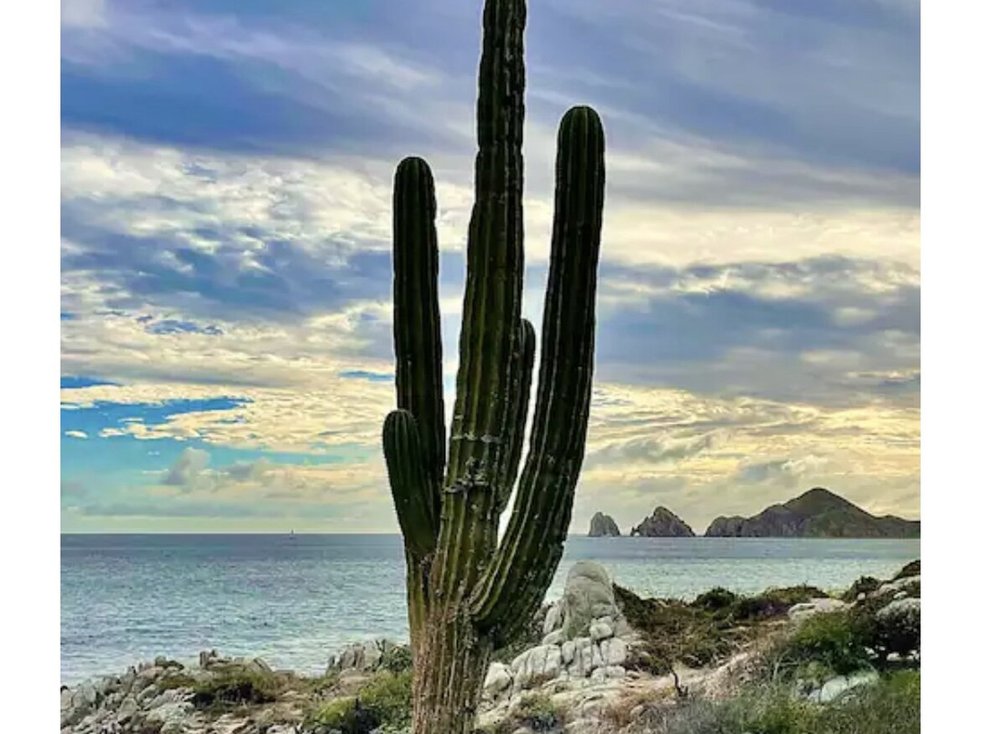 Misiones del Cabo主图