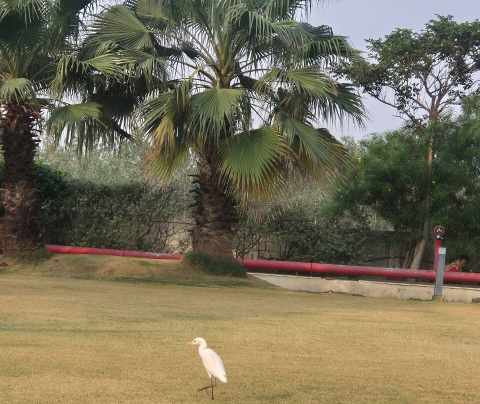 Regenta Central Hestia Dahej主图