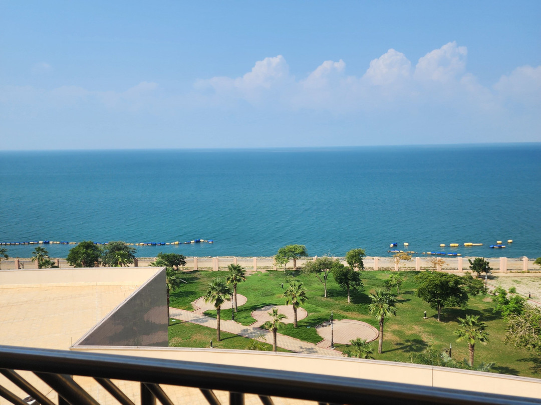 Grand Millennium Gizan主图