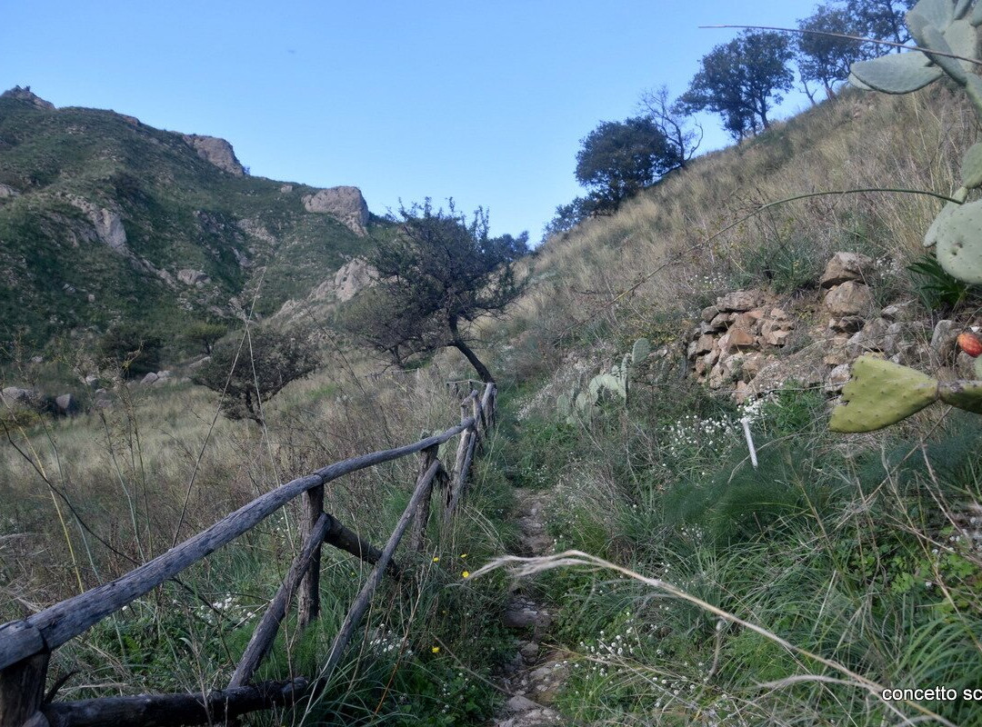 Ruderi del Castello景点图片