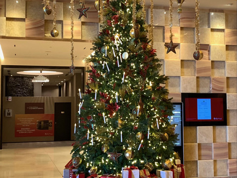 云顶世界 - 云豪酒店主图