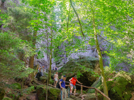 Nationalpark Sächsische Schweiz
