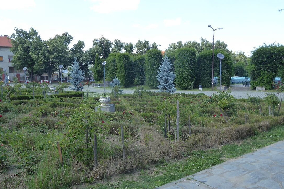 Parcul Rozelor景点图片