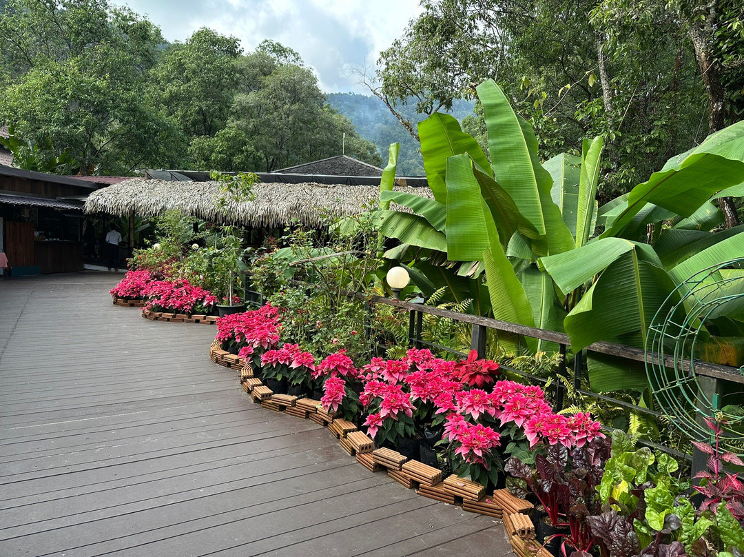 The Royal Agricultural Station Inthanon-宗通必去景点