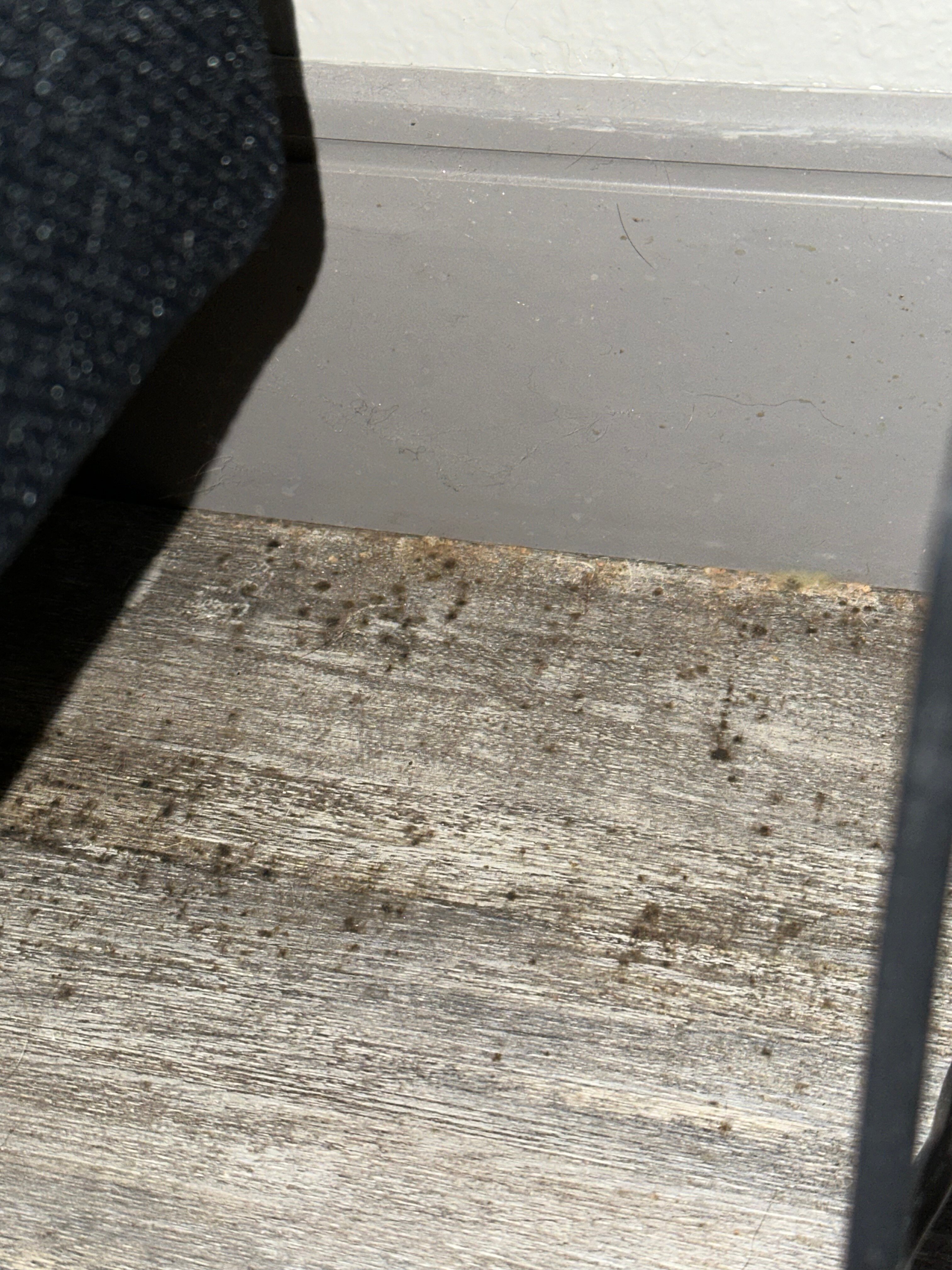 佩拉快捷假日酒店-官方