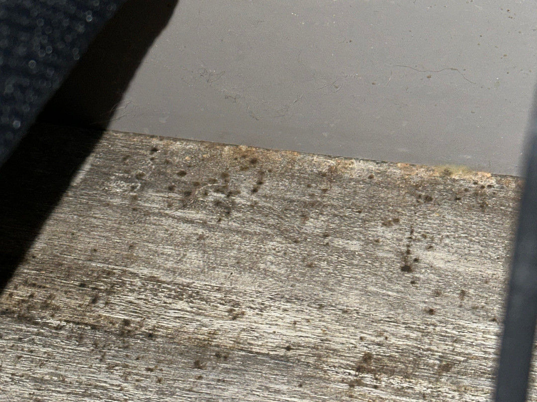 佩拉快捷假日酒店主图