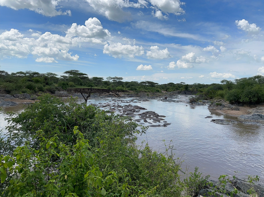 Tours for Touring Tourists-塞勒姆必去景点