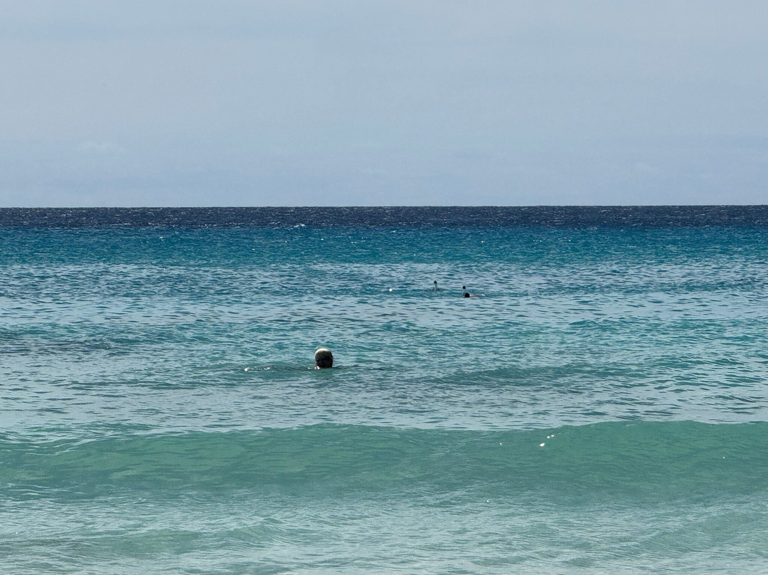 Rockley Beach-基督城必去景点