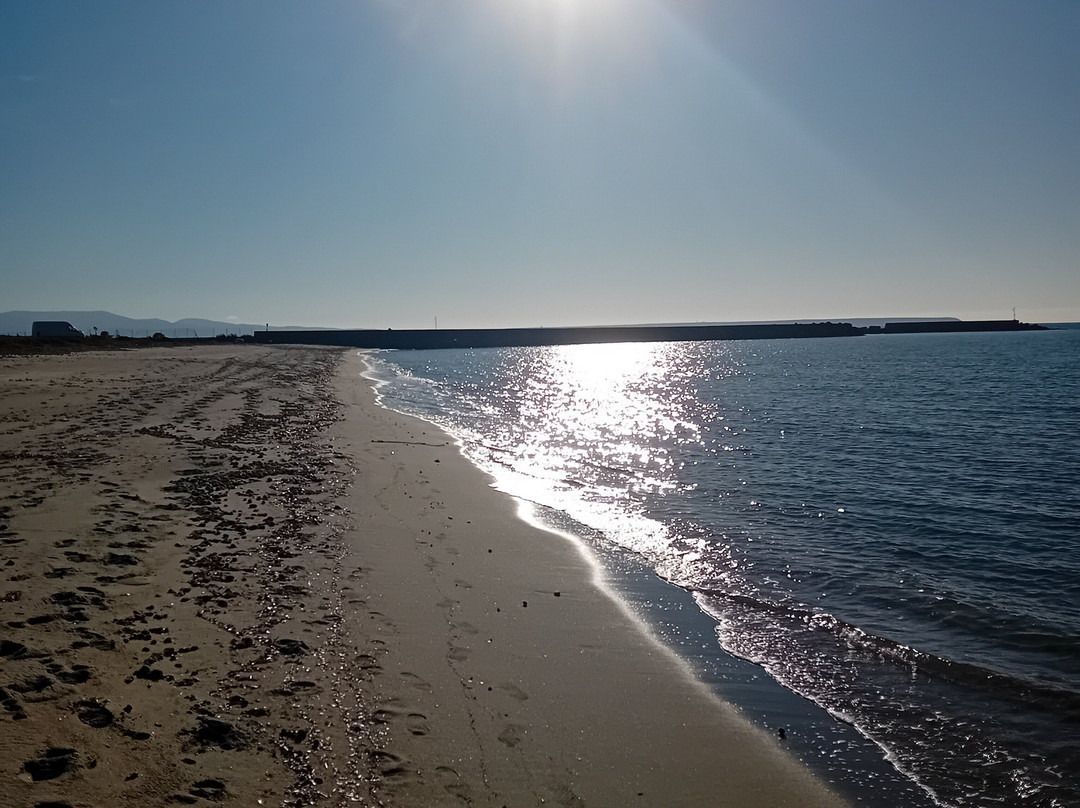Abarossa Dog Beach