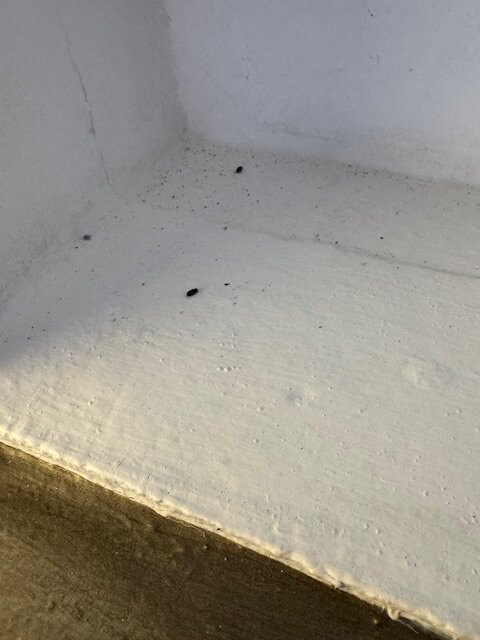 Hotel Budamar Zipolite主图