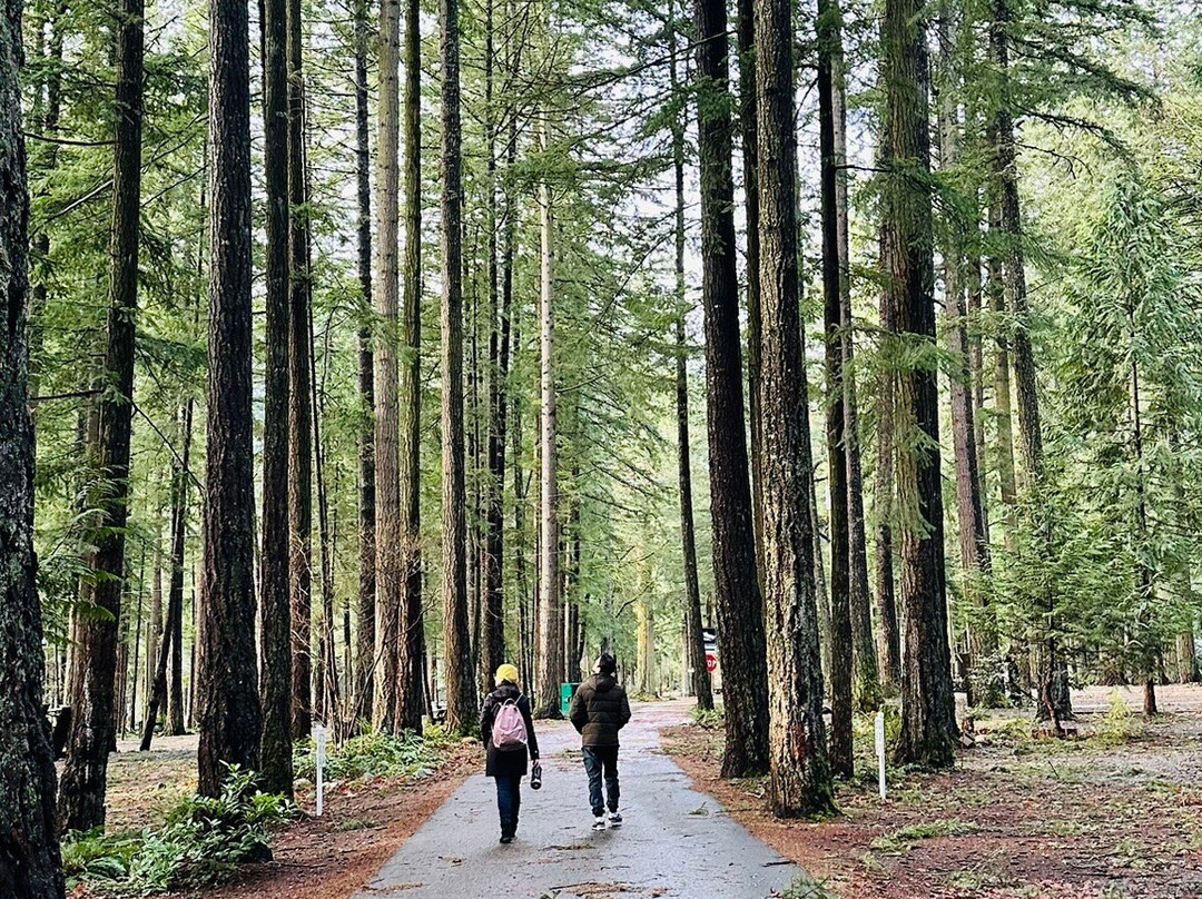 Cultus Lake Provincial Park景点图片