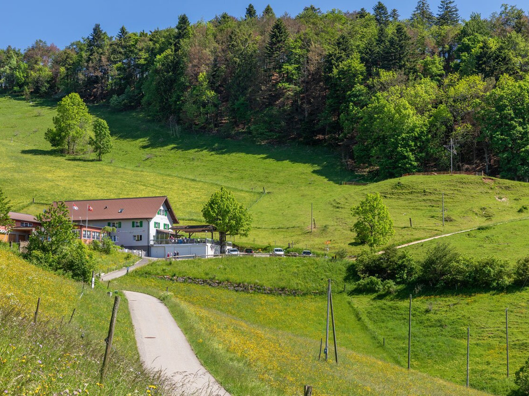 Waldenburg餐馆和美食-Berggasthaus Hintere Wasserfallen