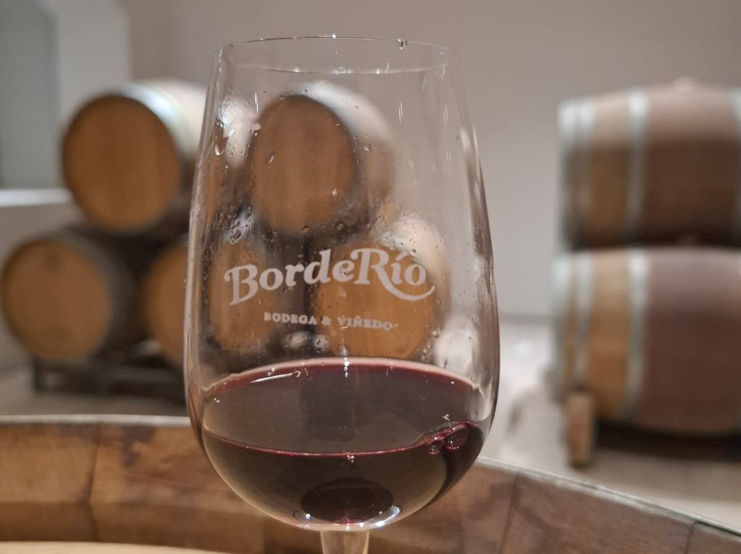 BordeRío Bodega & Viñedos景点图片