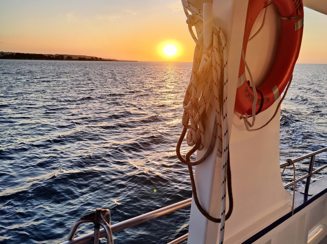 Portarlington Mussel Tours-Portarlington必去景点