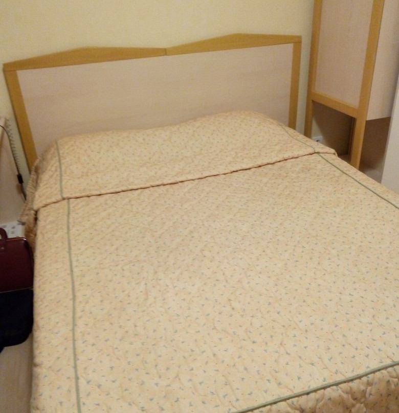Logis Hôtel des Voyageurs主图