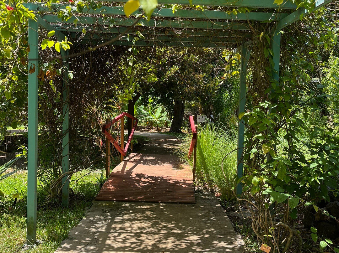 Jardin d'Eden景点图片