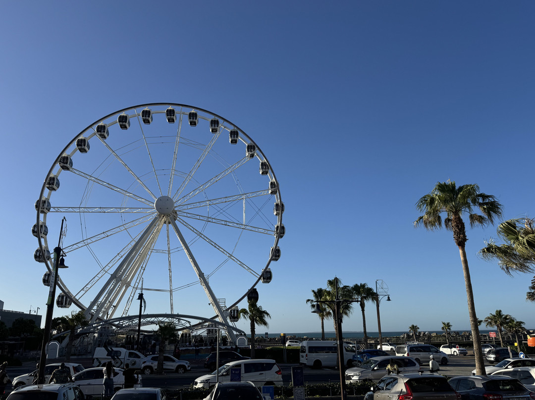 Africa Explore Safaris-开普敦必去景点