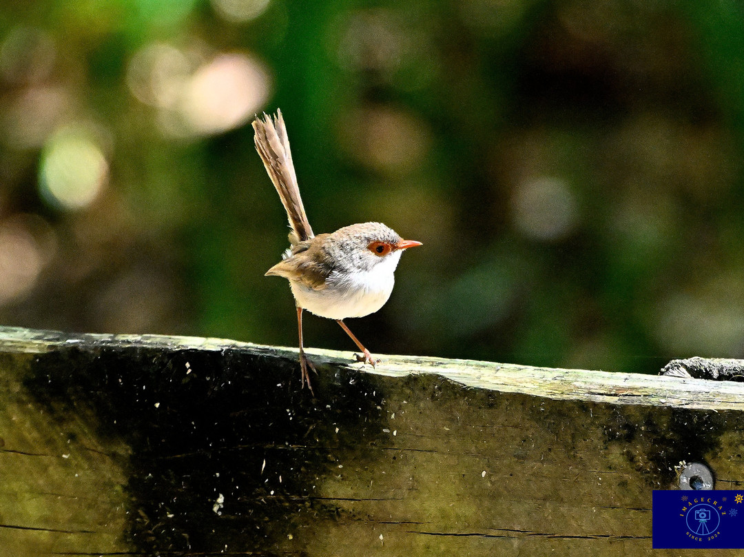 Myall River Camp主图