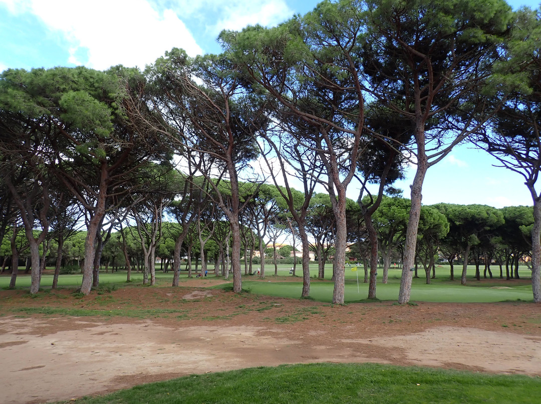 Golf Platja De Pals景点图片