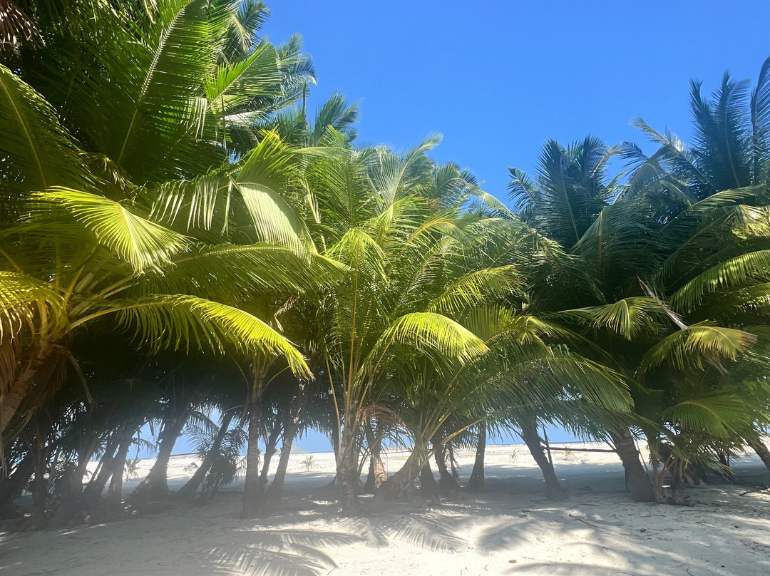 Island Life Maldives Retreat & Spa主图