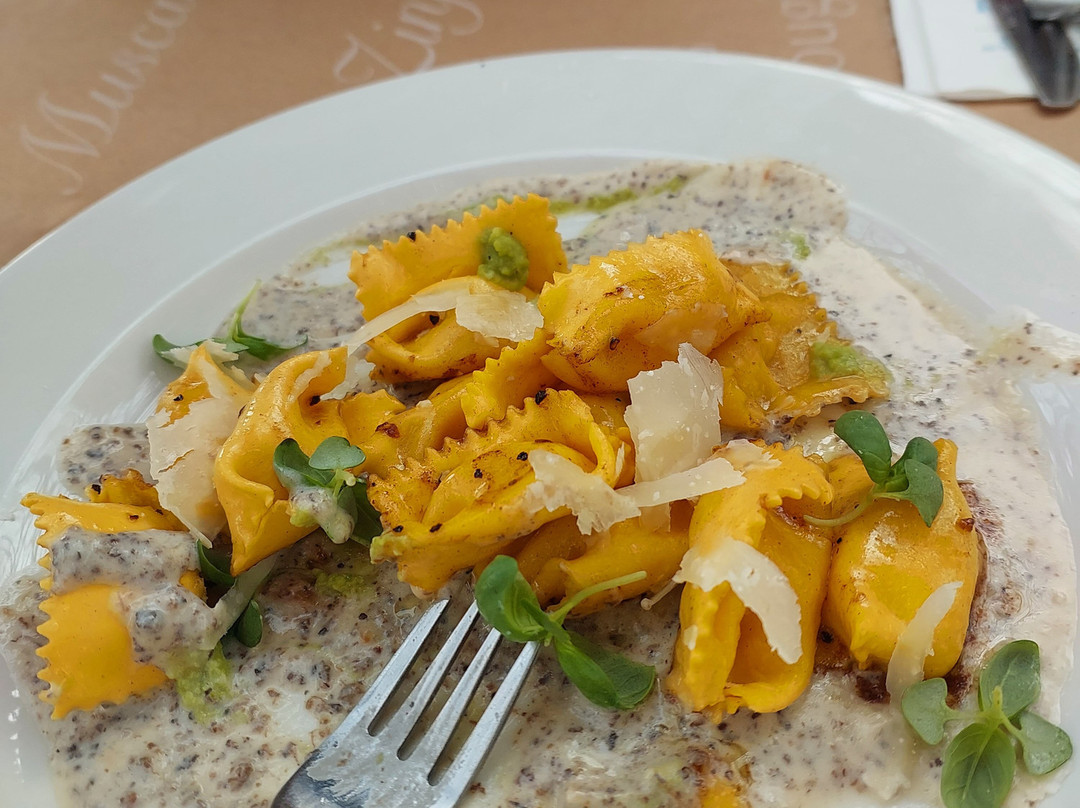 Tishbi Estate Winery-Binyamina必去景点