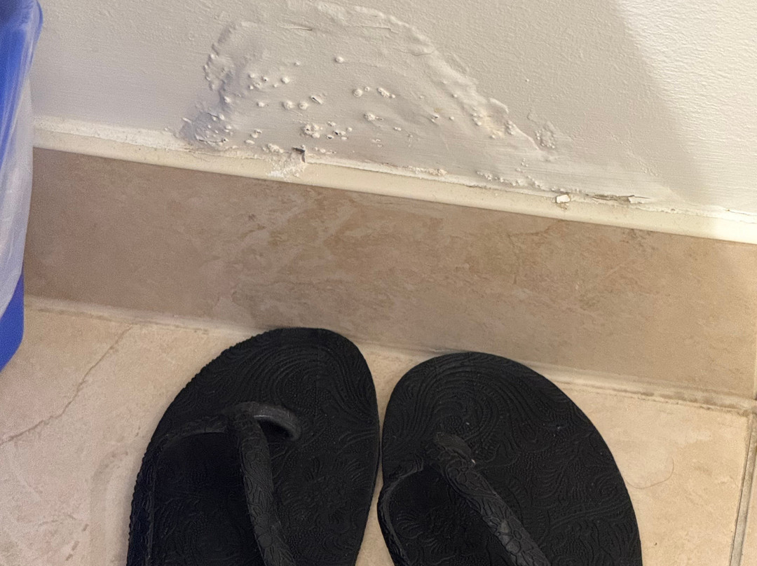 Millcroft Inn & Spa主图