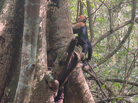 JM Ride CR-利比里亚必去景点