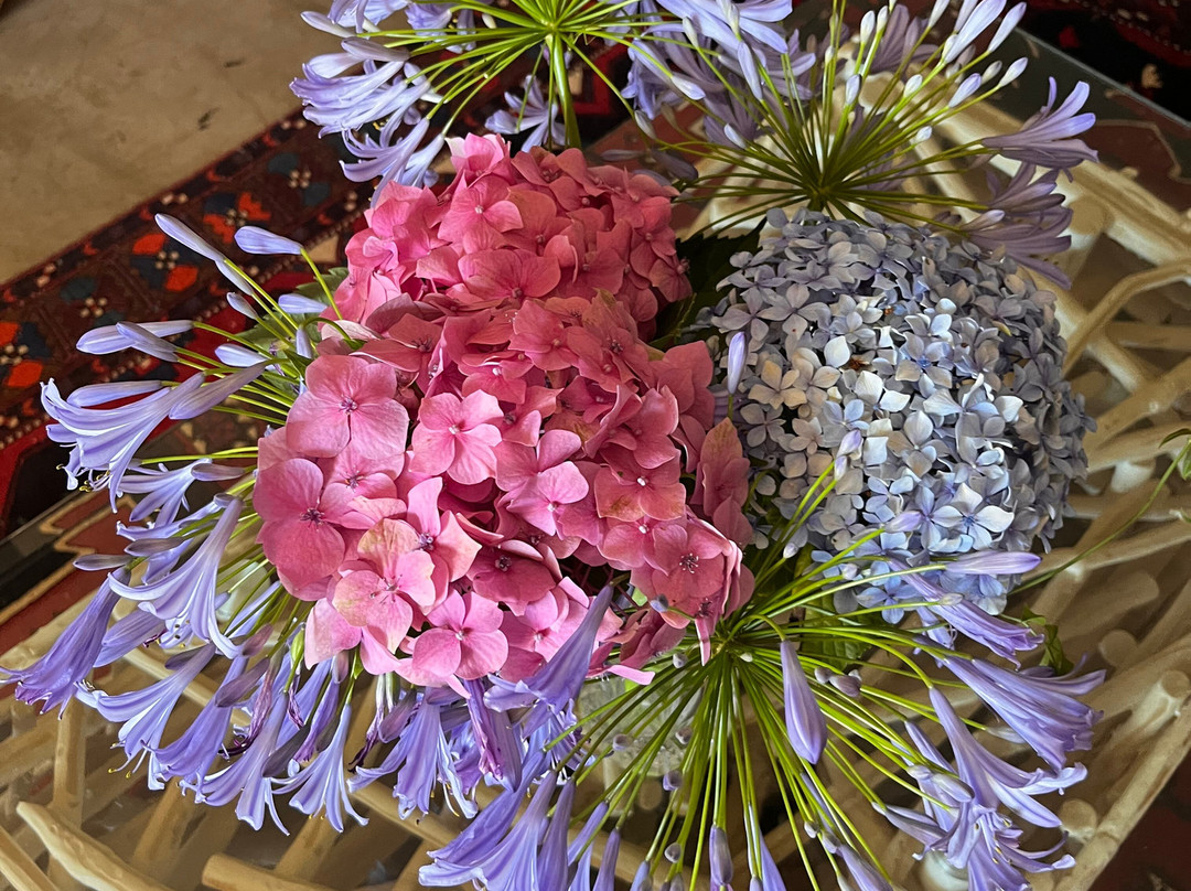 Springvale Farm Cottages主图