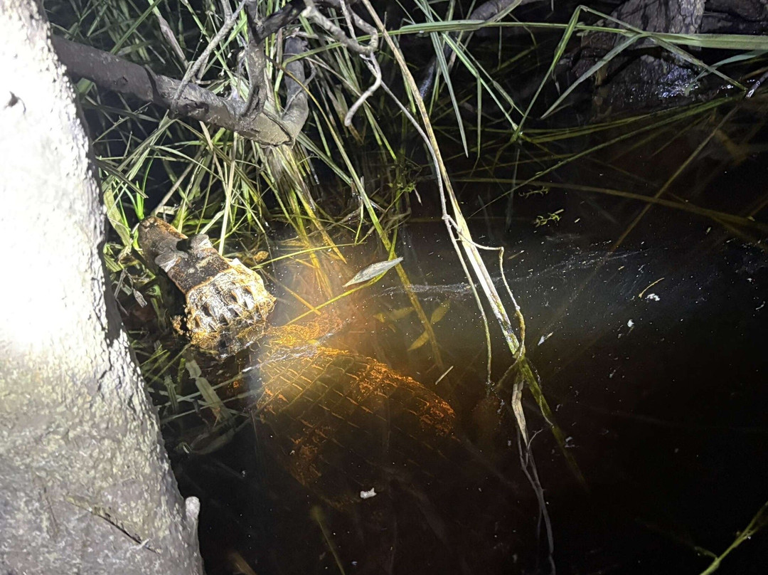 Kaw-Arrondissement of Cayenne必去景点