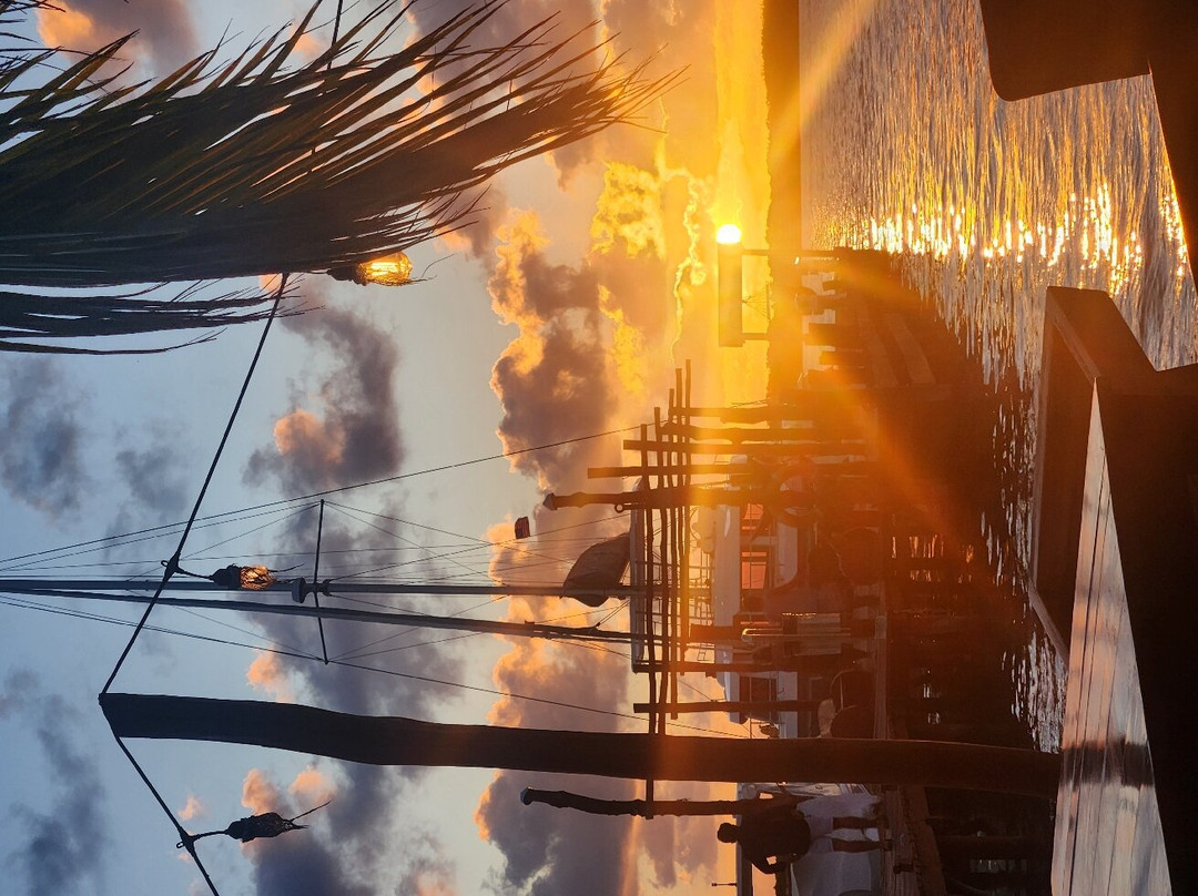 Restaurant Bar Tolok