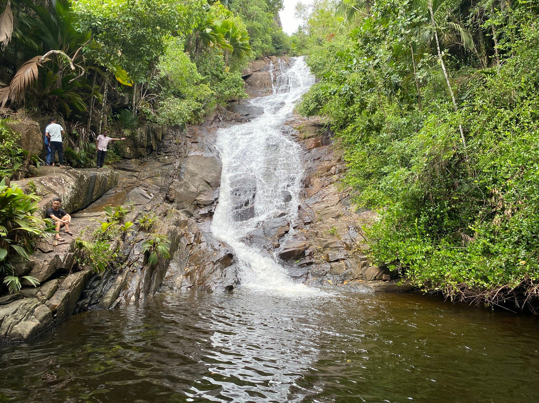 Morne Seychellos National Park景点图片