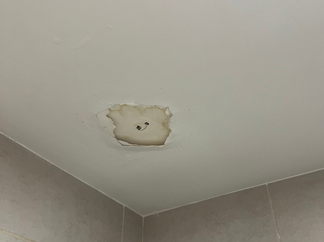 Best Western Shenandoah Inn主图