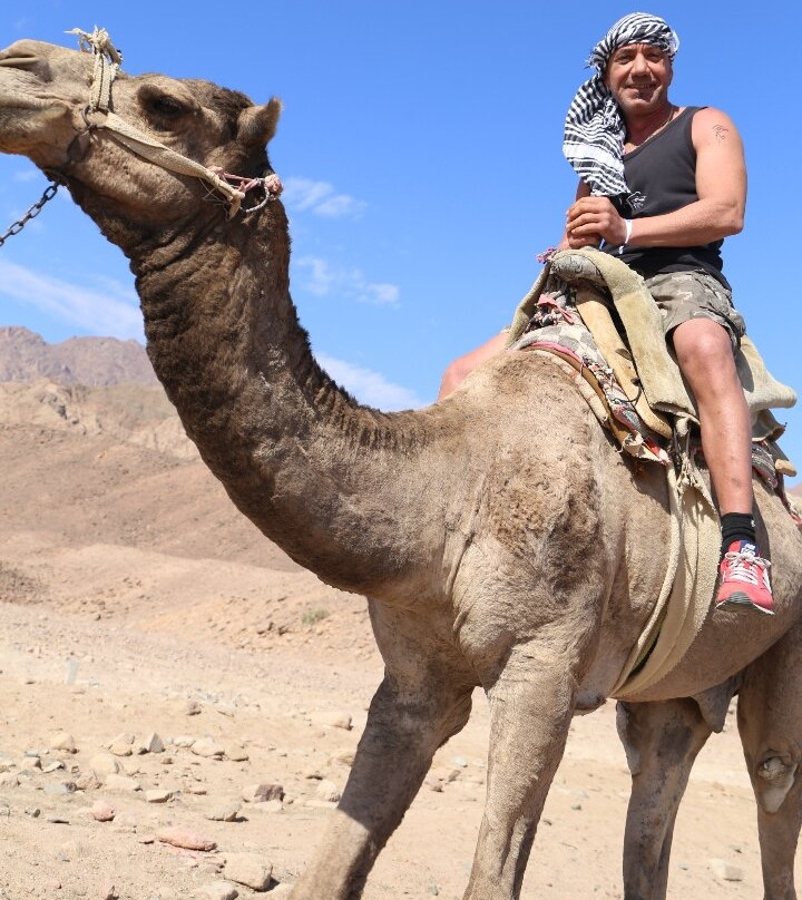 Brothers Safari Excursions-沙姆沙伊赫必去景点