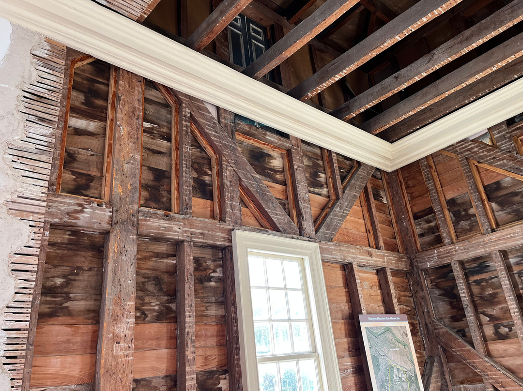 Hampton Plantation State Historic Site景点图片