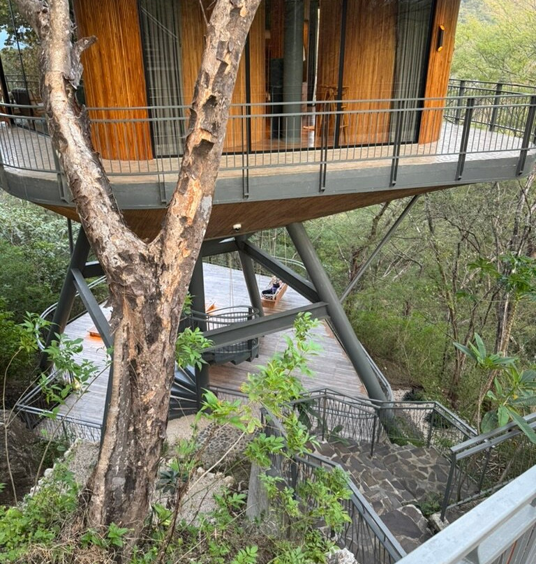 Suitree Experience Hotel Costa Rica主图