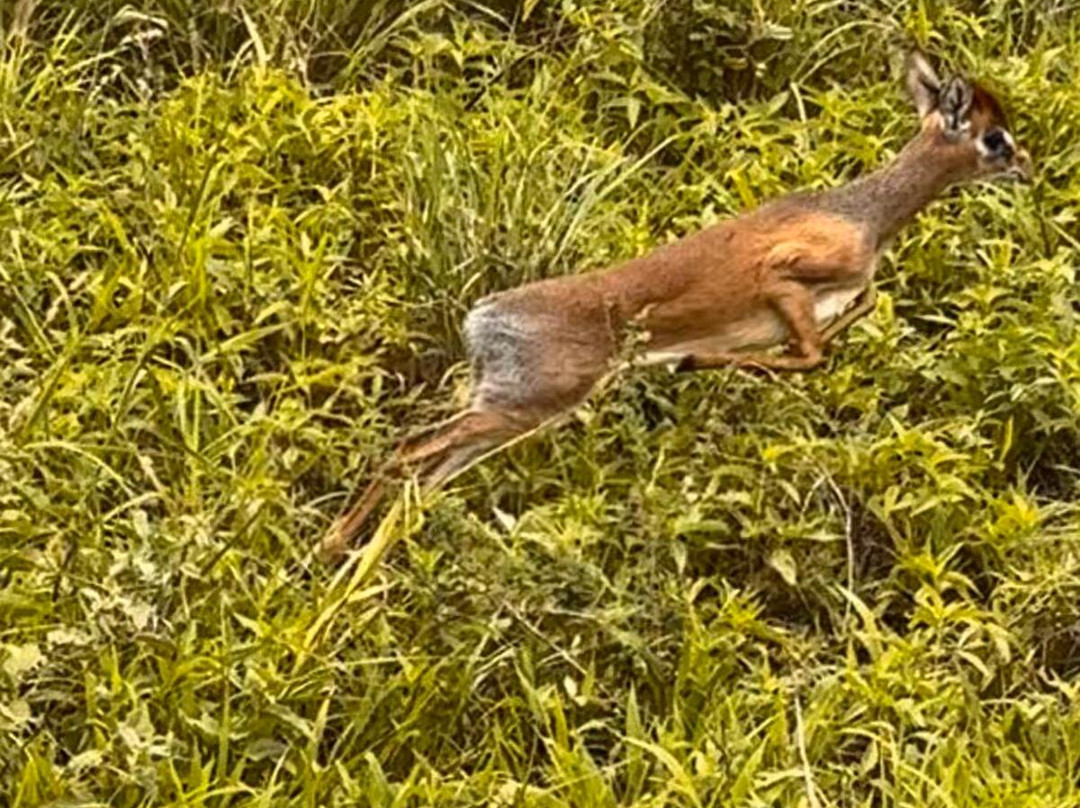 Samora Explorers-阿鲁沙必去景点