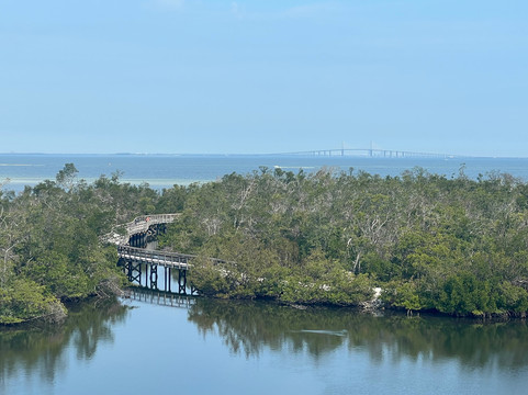 Surferbus-布雷登顿必去景点