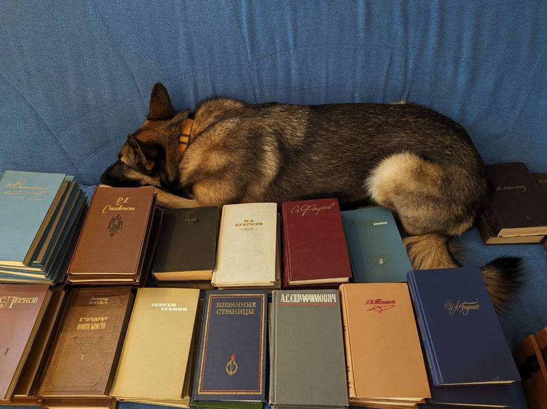 Second-hand bookstore Soroka-科斯特罗马必去景点