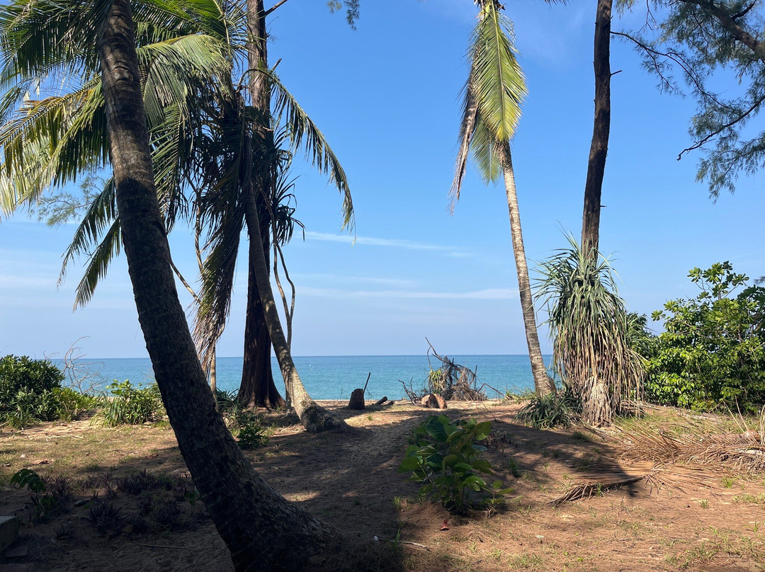 金佛海滩度假村主图