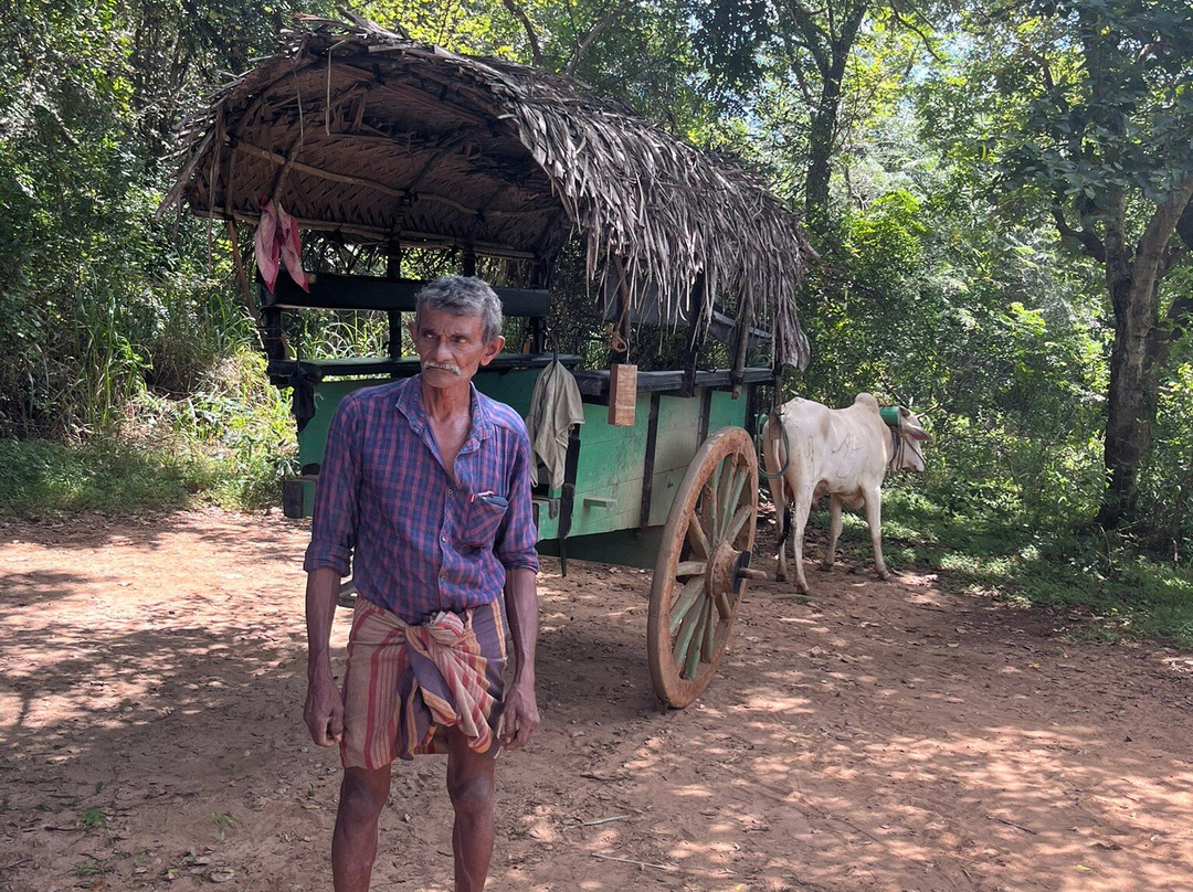 Ceylon ash cab tours-马塔拉必去景点
