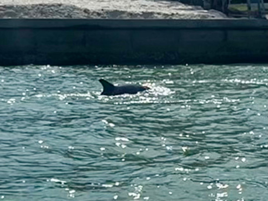 Fishing Solves Everything-那不勒斯必去景点