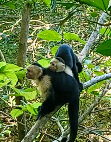 Blue Jay Experiences Travels & Fun-塔马林多必去景点